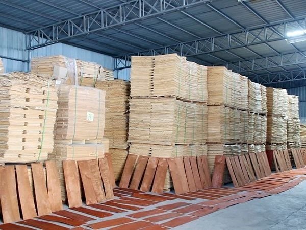 skateboard wood material